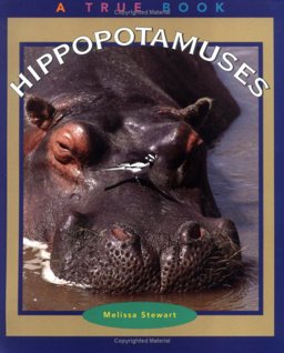 Hippopotamuses