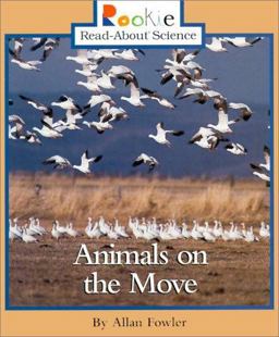 Animals on the Move