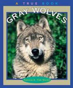 Gray Wolves (a True Book: Animals)  9780516274720 Front Cover
