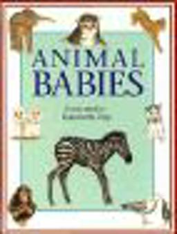 Animal Babies Animal Babies