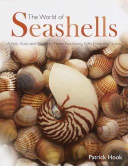 The World of Seashells
