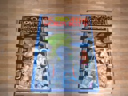 1980 Annual Worlds Best S F