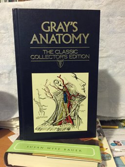 Gray's Anatomy