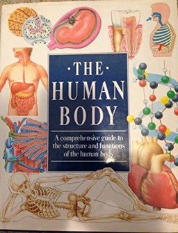 Human Body