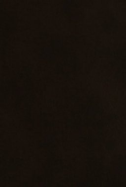 Helen with the High Hand