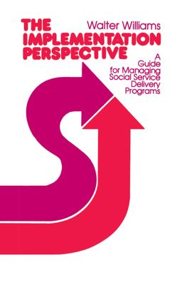 The Implementation Perspective The Implementation Perspective