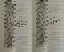 Through the Looking Glass