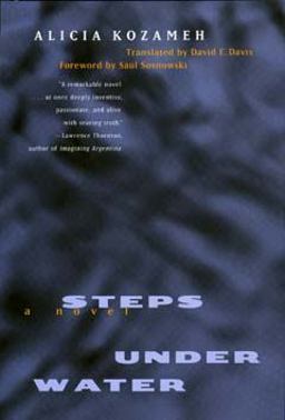 Steps under Water A Novel  9780520203884 Front Cover