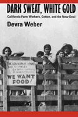 Dark Sweat, White Gold California Farm Workers, Cotton, and the New Deal  9780520207103 Front Cover