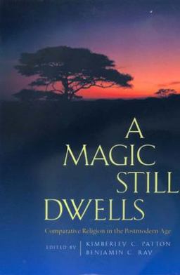 Magic Still Dwells Comparative Religion in the Postmodern Age  9780520221055 Front Cover