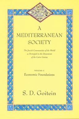 Mediterranean Society The Jewish Communities of the Arab World As Portrayed in the Documents of the Cairo Geniza, Economic Foundations 1st 9780520221581 Front Cover