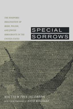 Special Sorrows The Diasporic Imagination of Irish, Polish, and Jewish Immigrants in the United States  9780520233423 Front Cover
