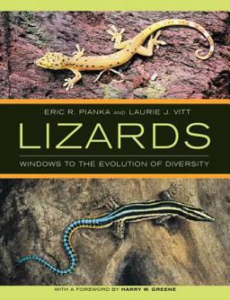 Lizards Lizards