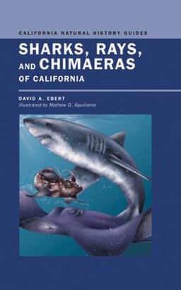 Sharks, Rays, and Chimaeras of California  9780520234840 Front Cover