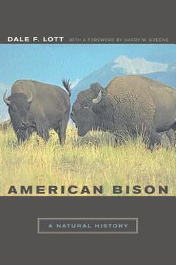 American Bison A Natural History  9780520240629 Front Cover