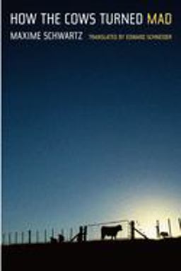 How the Cows Turned Mad Unlocking the Mysteries of Mad Cow Disease  9780520243378 Front Cover