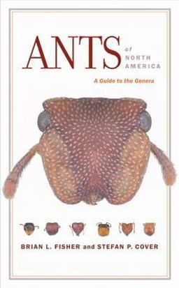 Ants of North America A Guide to the Genera  9780520254220 Front Cover