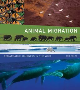 Animal Migration