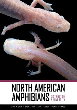 North American Amphibians Distribution and Diversity  9780520266728 Front Cover