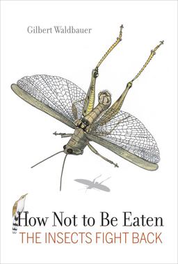 How Not to Be Eaten The Insects Fight Back  9780520269125 Front Cover