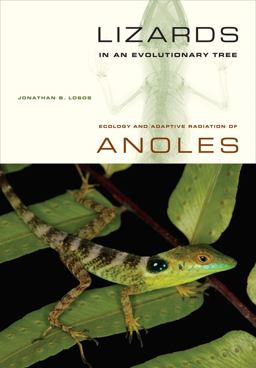 Lizards in an Evolutionary Tree Ecology and Adaptive Radiation of Anoles  9780520269842 Front Cover