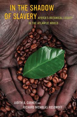 In the Shadow of Slavery Africa's Botanical Legacy in the Atlantic World  9780520269965 Front Cover