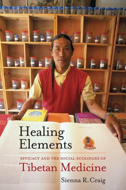 Healing Elements Efficacy and the Social Ecologies of Tibetan Medicine  9780520273245 Front Cover