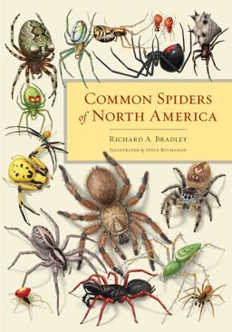 Common Spiders of North America  9780520274884 Front Cover