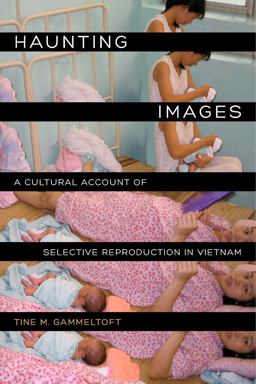 Haunting Images A Cultural Account of Selective Reproduction in Vietnam  9780520278431 Front Cover