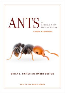 Ants of Africa and Madagascar A Guide to the Genera  9780520290891 Front Cover