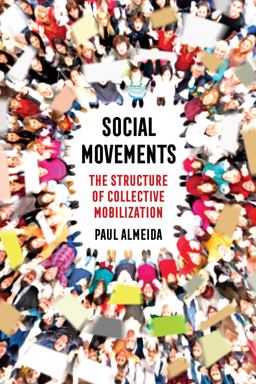 Social Movements The Structure of Collective Mobilization  9780520290914 Front Cover