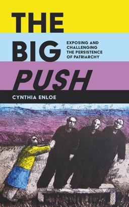 Big Push Exposing and Challenging the Persistence of Patriarchy  9780520296893 Front Cover