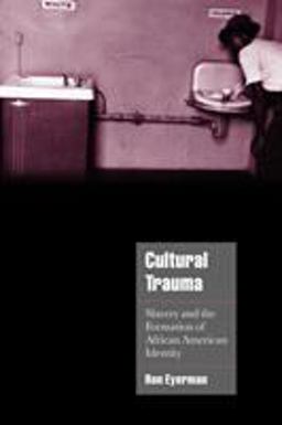 Cultural Trauma Slavery and the Formation of African American Identity  9780521004374 Front Cover