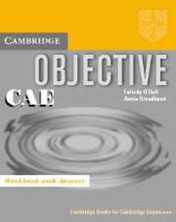 Objective CAE Objective CAE