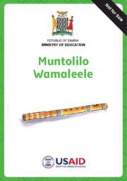 The Magic Flute and Other Stories