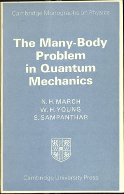Many Body Problems Quantum Mechanics