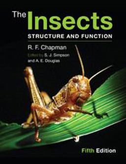 Insects Structure and Function 5th 9780521113892 Front Cover