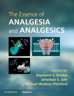 Essence of Analgesia and Analgesics  9780521144506 Front Cover