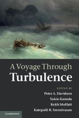 Voyage Through Turbulence  9780521149310 Front Cover