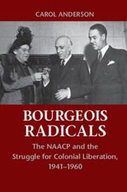 Bourgeois Radicals Bourgeois Radicals