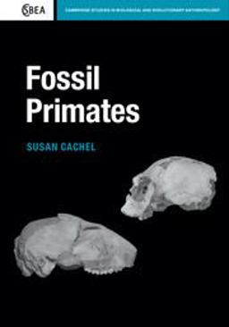 Fossil Primates  9780521183024 Front Cover