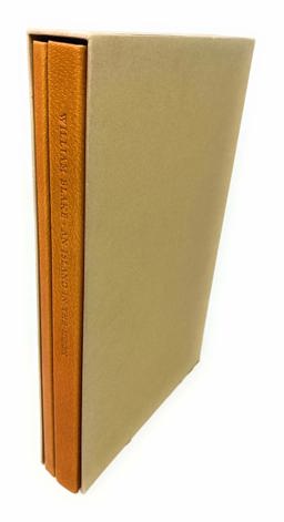 An Island in the Moon