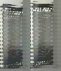 Chaotic Dynamics An Introduction  9780521388979 Front Cover