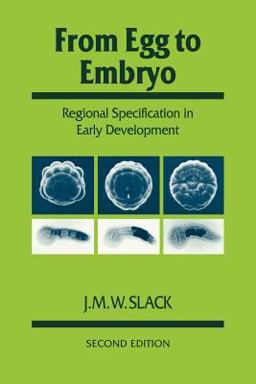 From Egg to Embryo Regional Specification in Early Development 2nd 9780521409438 Front Cover