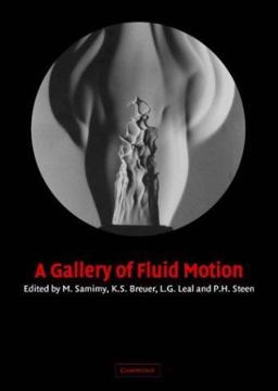 Gallery of Fluid Motion  9780521535007 Front Cover