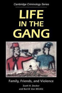 Life in the Gang Family, Friends, and Violence  9780521565660 Front Cover