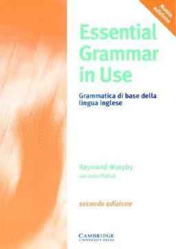 Essential Grammar in Use Italian Edition Essential Grammar in Use Italian Edition