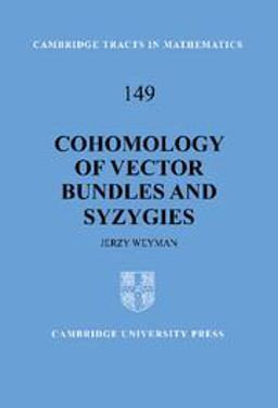 Cohomology of Vector Bundles and Syzygies