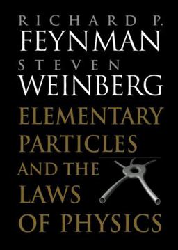 Elementary Particles and the Laws of Physics