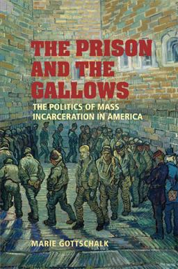 Prison and the Gallows The Politics of Mass Incarceration in America  9780521682916 Front Cover